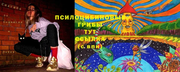 PSILOCYBIN Новосибирск